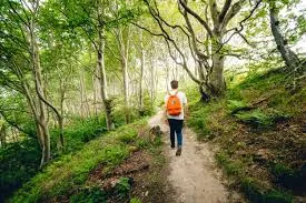 Person marking a path on a neighborhood sketch
